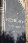 BEZUIDENHOUT David Hercules 1930-1970