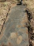 Mpumalanga, MIDDELBURG district, Hendrina, Bloemfontein 196 IS, farm cemetery