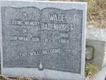 BADENHORST Wade 1968-1968