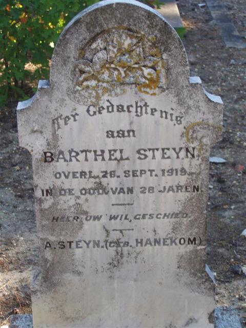 STEYN Barthel -1919