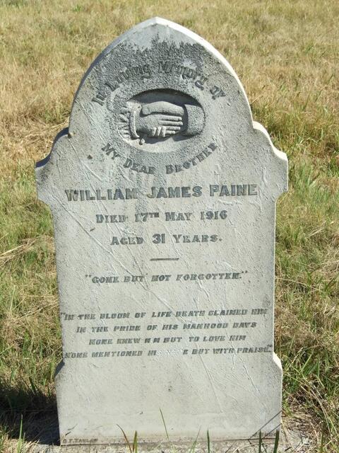 PAINE William James -1916