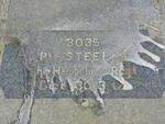 STEEL G. -1902