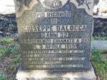 BALOCCA Guiseppe -1919