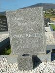 BEYERS Andy 1958-1985