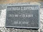 DIPPENAAR Gertruida C. 1910-1923