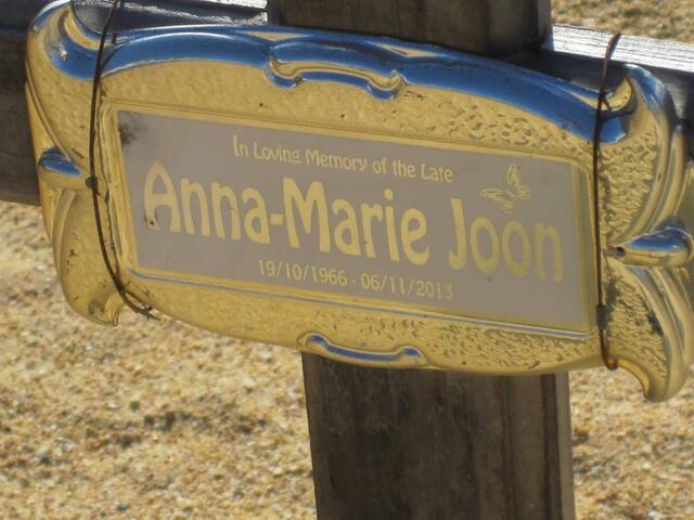 JOON Anna-Marie 1966-2013
