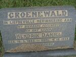 GROENEWALD Hendrik Daniel 1885-1959