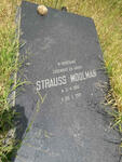 MOOLMAN Strauss 1915-1981