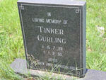 CURLING Tinker 1928-1995