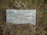 THERON Sarel David  1926-1996