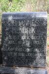 ? Johannes Hendrik 1933-1935