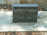MARAIS Andries F. 1850-1924