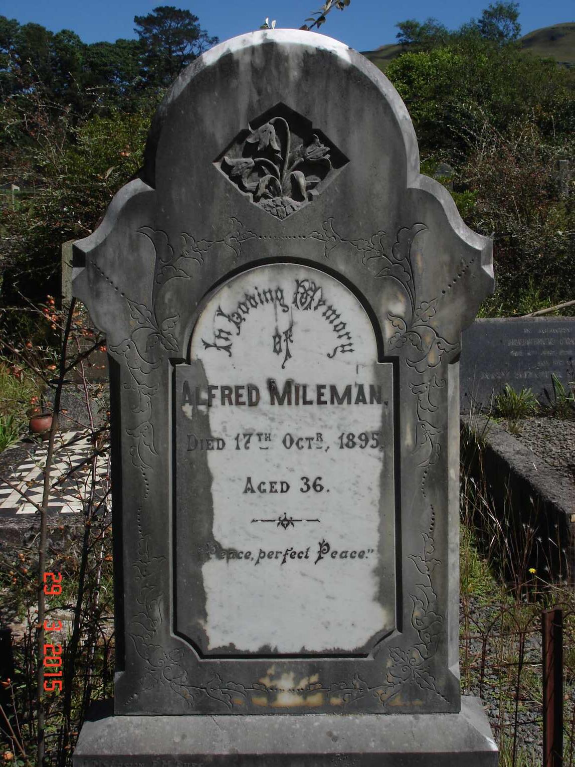 MILEMAN Alfred -1895