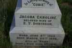 DOBINSON Jacoba Caroline 1862-1896 :: DOBINSON Baby 1892-1892