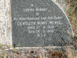 WEWEGE Liewellyn Henry 1928-1956