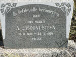 STEYN A.J. 1891-1964