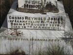 JONES Cosmo Reynold 1878-1914