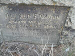 WOODS Alfred Edmund -1893