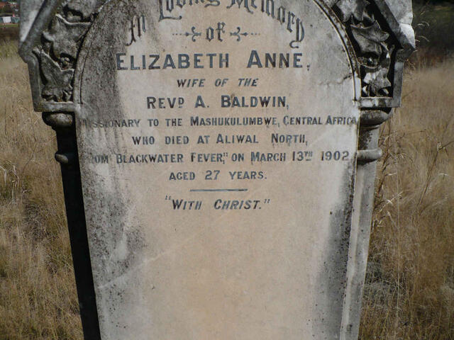 BALDWIN Elizabeth Anne -1902