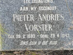 VORSTER Pieter Andries 1883-1943