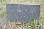 DHLUDHLU Joseph 1921-1949