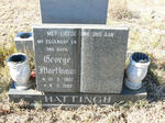 HATTINGH George Marthinus 1922-1993