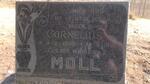 MOLL Cornelius 1905-1960