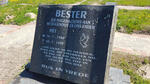 BESTER Piet 1960-1999