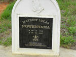 NGWENYAMA Mafruit Lucas 1948-2007
