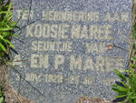 MAREE Koosie 1928-1929