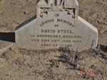 STEEL David -1898