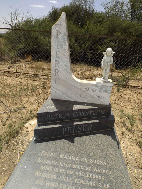 PELSER Petrus Cornelius 1992-1998
