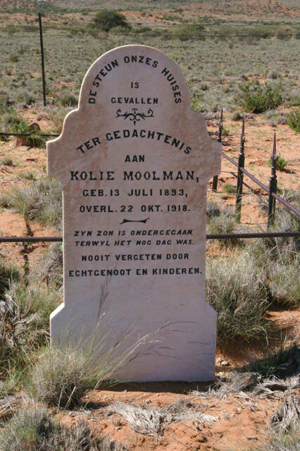 MOOLMAN Kolie 1893-1918