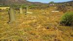 Western Cape, OUDTSHOORN district, De Haasejagt 79_3, farm cemetery