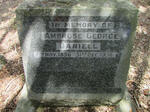 DANIELL Ambrose George 1856-1936