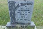 STEVENSON Steve 1946-1987