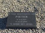? Pieter 1934-2003