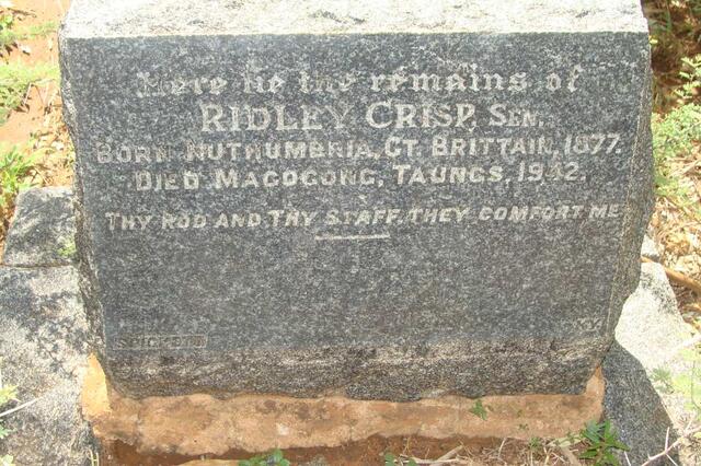 CRISP Ridley 1877-1942