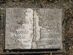 BAILIE David Jacobus 1903-1980 & Judith 19??-1993