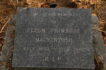 MACKINTOSH Ellen Primrose 1893-1970