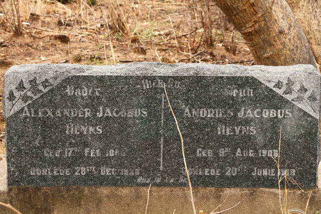 HEYNS Alexander Jacobus 1860-1928 :: HEYNS Andries Jacobus 1906-1918