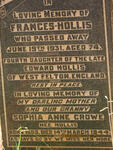 HOLLIS Frances -1931 :: CROWE Sophia Anne nee HOLLIS 1863-1944
