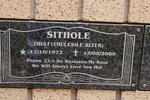 SITHOLE Thulesile Alter 1972-2009