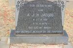 JACOBS A.J.H. 1916-1978
