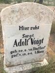 VOIGT Adolf 1878-1904