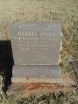 DIMNY Rachel 1882-1918