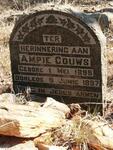 GOUWS Ampie 1895-1897