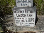 LINDEMANN Anthony Arthur 1952-1952