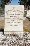 MALHERBE Gabriel Petrus 1860-1939