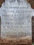 PRETORIUS Susanna Elizabeth Sophia nee DU TOIT 1865-1920